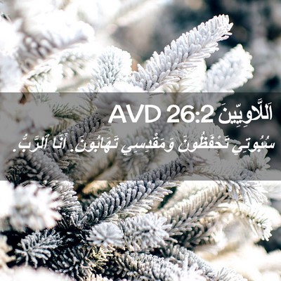 Picture 02 - اَللَّاوِيِّينَ 26:2 AVD - سُبُوتِي تَحْفَظُونَ - Bible Verse Picture