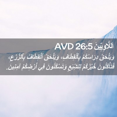Picture 02 - اَللَّاوِيِّينَ 26:5 AVD - وَيَلْحَقُ دِرَاسُكُمْ - Bible Verse Picture