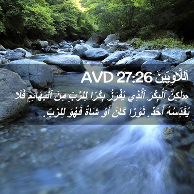Picture 02 - اَللَّاوِيِّينَ 27:26 AVD - «لَكِنَّ ٱلْبِكْرَ - Bible Verse Picture