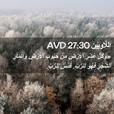 Picture 02 - اَللَّاوِيِّينَ 27:30 AVD - «وَكُلُّ عُشْرِ ٱلْأَرْضِ - Bible Verse Picture