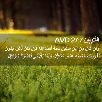 Picture 02 - اَللَّاوِيِّينَ 27:7 AVD - وَإِنْ كَانَ مِنِ ٱبْنِ - Bible Verse Picture