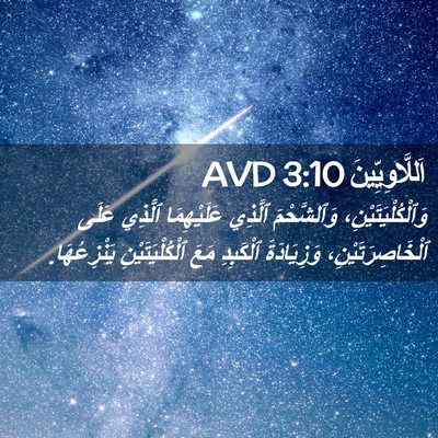 Picture 02 - اَللَّاوِيِّينَ 3:10 AVD - وَٱلْكُلْيَتَيْنِ، - Bible Verse Picture