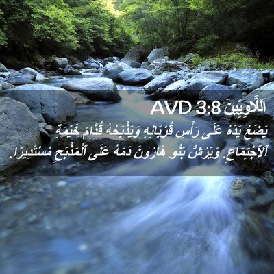 Picture 02 - اَللَّاوِيِّينَ 3:8 AVD - يَضَعُ يَدَهُ عَلَى رَأْسِ - Bible Verse Picture