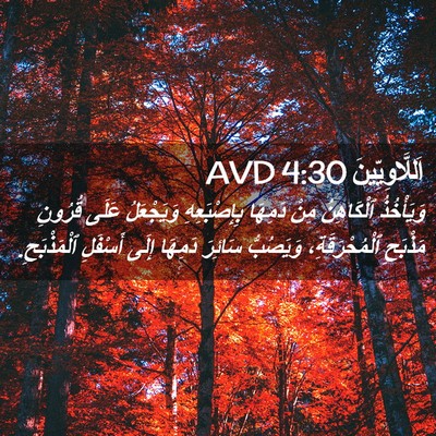 Picture 02 - اَللَّاوِيِّينَ 4:30 AVD - وَيَأْخُذُ ٱلْكَاهِنُ - Bible Verse Picture