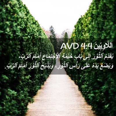 Picture 02 - اَللَّاوِيِّينَ 4:4 AVD - يُقَدِّمُ ٱلثَّوْرَ إِلَى - Bible Verse Picture