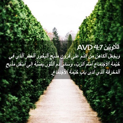 Picture 02 - اَللَّاوِيِّينَ 4:7 AVD - وَيَجْعَلُ ٱلْكَاهِنُ - Bible Verse Picture