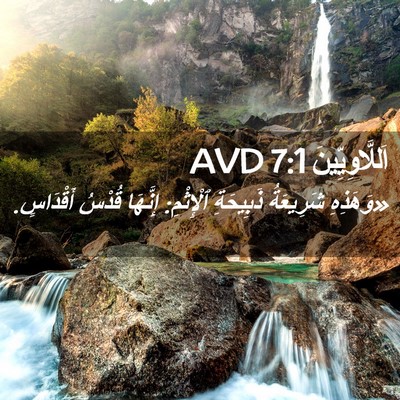 Picture 02 - اَللَّاوِيِّينَ 7:1 AVD - «وَهَذِهِ شَرِيعَةُ - Bible Verse Picture