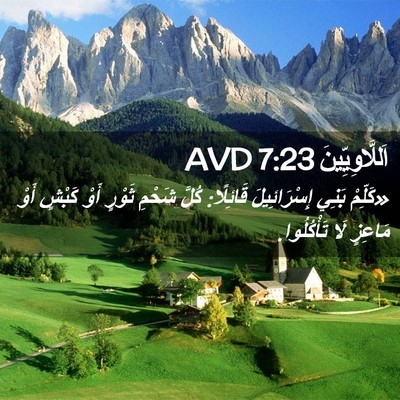 Picture 02 - اَللَّاوِيِّينَ 7:23 AVD - «كَلِّمْ بَنِي - Bible Verse Picture