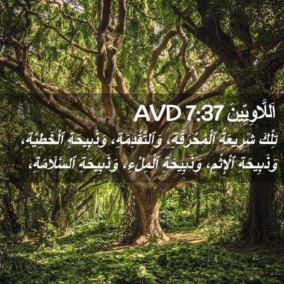Picture 02 - اَللَّاوِيِّينَ 7:37 AVD - تِلْكَ شَرِيعَةُ - Bible Verse Picture
