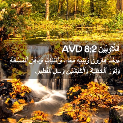 Picture 02 - اَللَّاوِيِّينَ 8:2 AVD - «خُذْ هَارُونَ وَبَنِيهِ - Bible Verse Picture