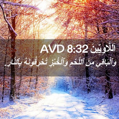 Picture 02 - اَللَّاوِيِّينَ 8:32 AVD - وَٱلْبَاقِي مِنَ - Bible Verse Picture