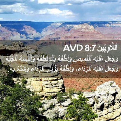 Picture 02 - اَللَّاوِيِّينَ 8:7 AVD - وَجَعَلَ عَلَيْهِ - Bible Verse Picture