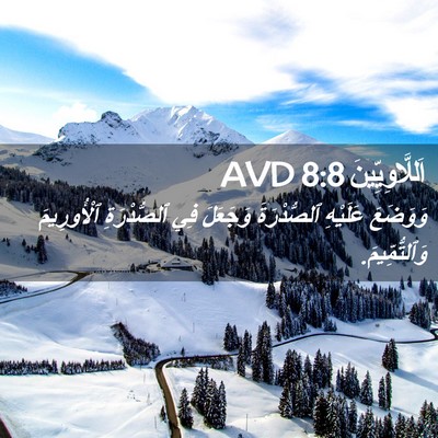 Picture 02 - اَللَّاوِيِّينَ 8:8 AVD - وَوَضَعَ عَلَيْهِ - Bible Verse Picture