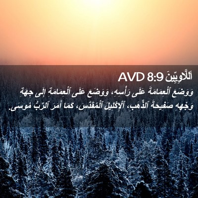 Picture 02 - اَللَّاوِيِّينَ 8:9 AVD - وَوَضَعَ ٱلْعِمَامَةَ - Bible Verse Picture