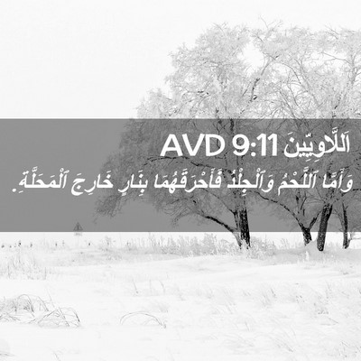 Picture 02 - اَللَّاوِيِّينَ 9:11 AVD - وَأَمَّا ٱللَّحْمُ - Bible Verse Picture