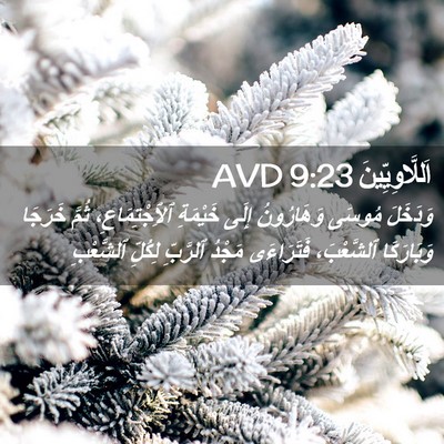Picture 02 - اَللَّاوِيِّينَ 9:23 AVD - وَدَخَلَ مُوسَى - Bible Verse Picture