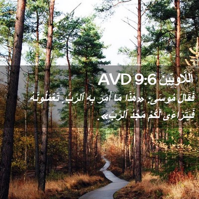 Picture 02 - اَللَّاوِيِّينَ 9:6 AVD - فَقَالَ مُوسَى: «هَذَا مَا - Bible Verse Picture