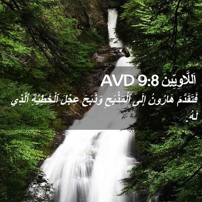 Picture 02 - اَللَّاوِيِّينَ 9:8 AVD - فَتَقَدَّمَ هَارُونُ - Bible Verse Picture
