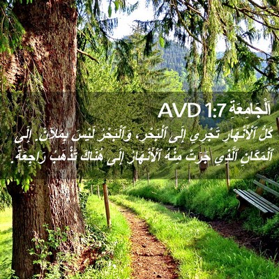 Picture 02 - اَلْجَامِعَةِ 1:7 AVD - كُلُّ ٱلْأَنْهَارِ - Bible Verse Picture
