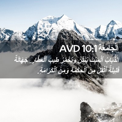Picture 02 - اَلْجَامِعَةِ 10:1 AVD - اَلذُّبَابُ ٱلْمَيِّتُ - Bible Verse Picture