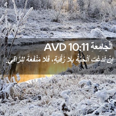 Picture 02 - اَلْجَامِعَةِ 10:11 AVD - إِنْ لَدَغَتِ ٱلْحَيَّةُ - Bible Verse Picture
