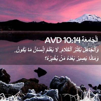 Picture 02 - اَلْجَامِعَةِ 10:14 AVD - وَٱلْجَاهِلُ يُكَثِّرُ - Bible Verse Picture