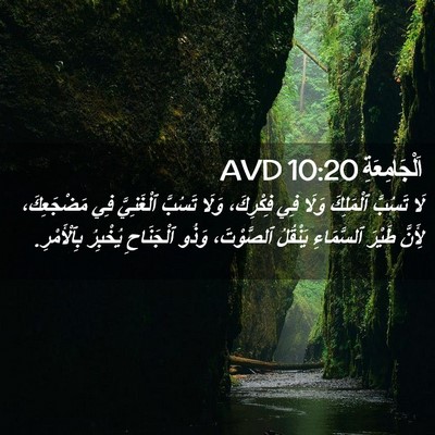 Picture 02 - اَلْجَامِعَةِ 10:20 AVD - لَا تَسُبَّ ٱلْمَلِكَ - Bible Verse Picture