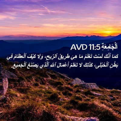 Picture 02 - اَلْجَامِعَةِ 11:5 AVD - كَمَا أَنَّكَ لَسْتَ - Bible Verse Picture