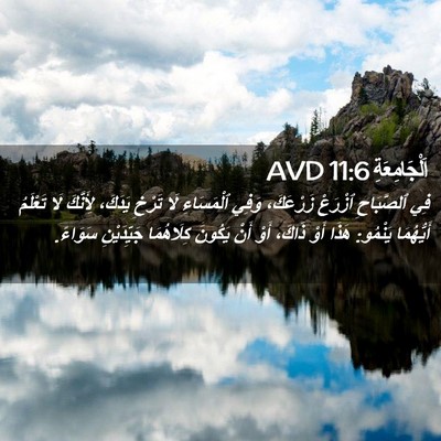 Picture 02 - اَلْجَامِعَةِ 11:6 AVD - فِي ٱلصَّبَاحِ ٱزْرَعْ - Bible Verse Picture