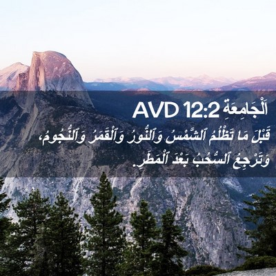 Picture 02 - اَلْجَامِعَةِ 12:2 AVD - قَبْلَ مَا تَظْلُمُ - Bible Verse Picture