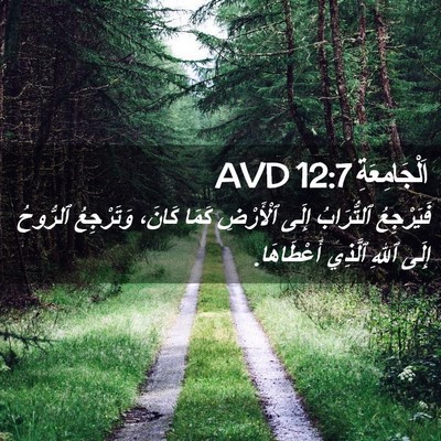 Picture 02 - اَلْجَامِعَةِ 12:7 AVD - فَيَرْجِعُ ٱلتُّرَابُ - Bible Verse Picture