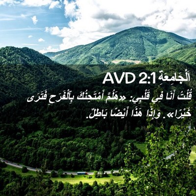 Picture 02 - اَلْجَامِعَةِ 2:1 AVD - قُلْتُ أَنَا فِي قَلْبِي: - Bible Verse Picture
