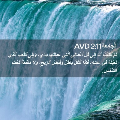 Picture 02 - اَلْجَامِعَةِ 2:11 AVD - ثُمَّ ٱلْتَفَتُّ أَنَا - Bible Verse Picture