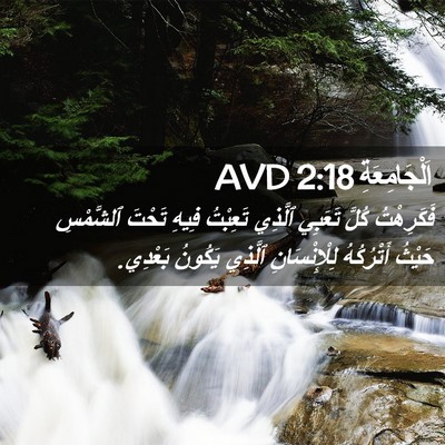 Picture 02 - اَلْجَامِعَةِ 2:18 AVD - فَكَرِهْتُ كُلَّ تَعَبِي - Bible Verse Picture