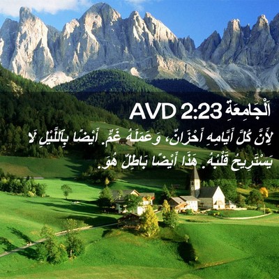Picture 02 - اَلْجَامِعَةِ 2:23 AVD - لِأَنَّ كُلَّ أَيَّامِهِ - Bible Verse Picture