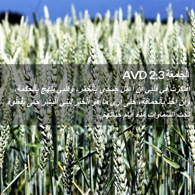 Picture 02 - اَلْجَامِعَةِ 2:3 AVD - اِفْتَكَرْتُ فِي قَلْبِي - Bible Verse Picture