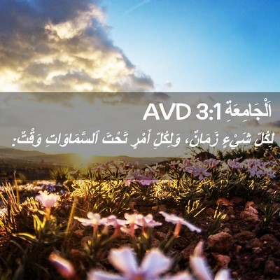 Picture 02 - اَلْجَامِعَةِ 3:1 AVD - لِكُلِّ شَيْءٍ زَمَانٌ، - Bible Verse Picture