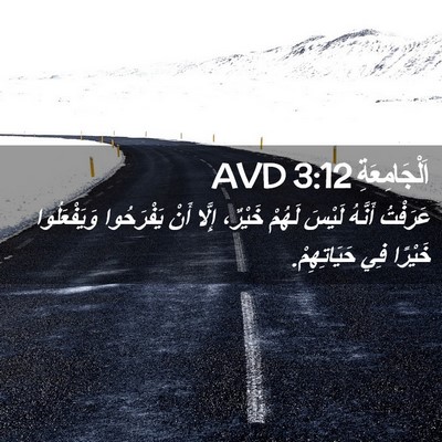 Picture 02 - اَلْجَامِعَةِ 3:12 AVD - عَرَفْتُ أَنَّهُ لَيْسَ - Bible Verse Picture