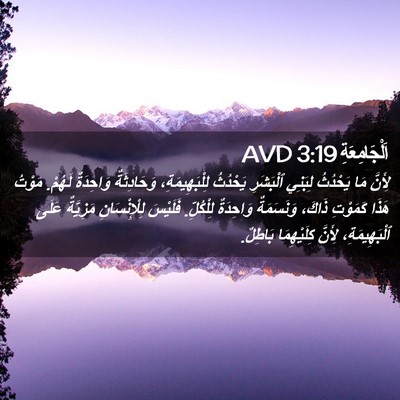 Picture 02 - اَلْجَامِعَةِ 3:19 AVD - لِأَنَّ مَا يَحْدُثُ - Bible Verse Picture