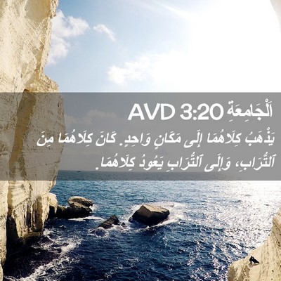 Picture 02 - اَلْجَامِعَةِ 3:20 AVD - يَذْهَبُ كِلَاهُمَا إِلَى - Bible Verse Picture