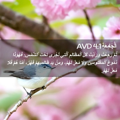 Picture 02 - اَلْجَامِعَةِ 4:1 AVD - ثُمَّ رَجَعْتُ وَرَأَيْتُ - Bible Verse Picture