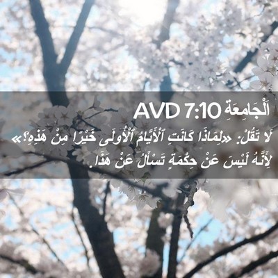Picture 02 - اَلْجَامِعَةِ 7:10 AVD - لَا تَقُلْ: «لِمَاذَا - Bible Verse Picture