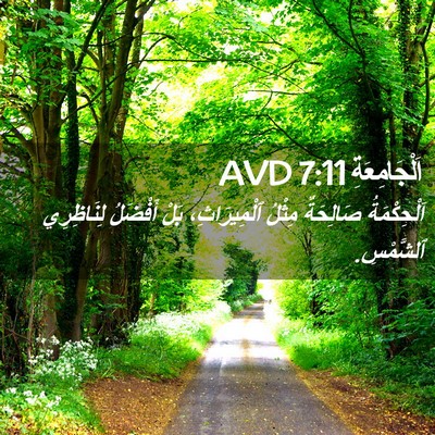 Picture 02 - اَلْجَامِعَةِ 7:11 AVD - اَلْحِكْمَةُ صَالِحَةٌ - Bible Verse Picture