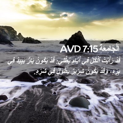 Picture 02 - اَلْجَامِعَةِ 7:15 AVD - قَدْ رَأَيْتُ ٱلْكُلَّ فِي - Bible Verse Picture