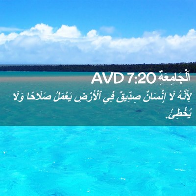 Picture 02 - اَلْجَامِعَةِ 7:20 AVD - لِأَنَّهُ لَا إِنْسَانٌ - Bible Verse Picture