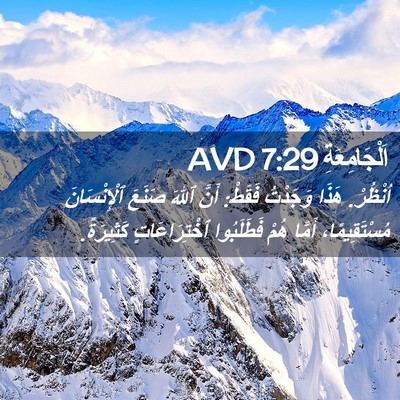 Picture 02 - اَلْجَامِعَةِ 7:29 AVD - اُنْظُرْ. هَذَا وَجَدْتُ - Bible Verse Picture