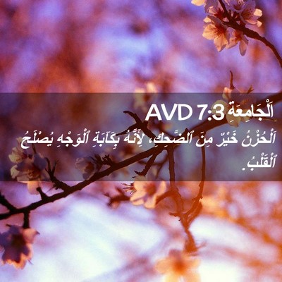 Picture 02 - اَلْجَامِعَةِ 7:3 AVD - اَلْحُزْنُ خَيْرٌ مِنَ - Bible Verse Picture