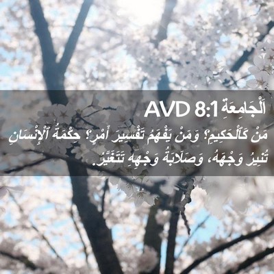 Picture 02 - اَلْجَامِعَةِ 8:1 AVD - مَنْ كَٱلْحَكِيمِ؟ وَمَنْ - Bible Verse Picture