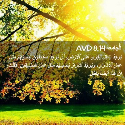 Picture 02 - اَلْجَامِعَةِ 8:14 AVD - يُوجَدُ بَاطِلٌ يُجْرَى - Bible Verse Picture