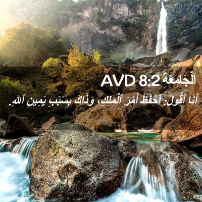 Picture 02 - اَلْجَامِعَةِ 8:2 AVD - أَنَا أَقُولُ: ٱحْفَظْ - Bible Verse Picture